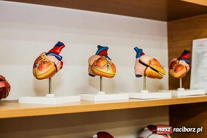 Zdjęcie w galerii na portalu naszraciborz.pl: Dobry zawód to dziś podstawa! Zapraszamy do raciborskiego Medyka wiadomości z regionu