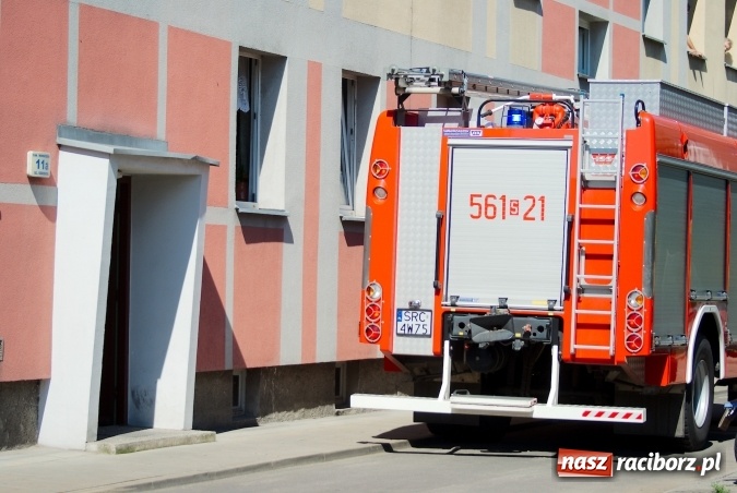 Zdjęcie w galerii na portalu naszraciborz.pl: Postawiła obiad i wyszła z mieszkania. Interwencja straży pożarnej na Ogrodowej wiadomości z regionu