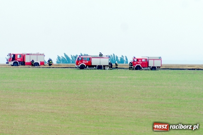 Zdjęcie w galerii na portalu naszraciborz.pl: Pożar zboża pomiędzy Raciborzem-Ocicami a Żerdzinami w gminie Pietrowice Wielkie wiadomości z regionu