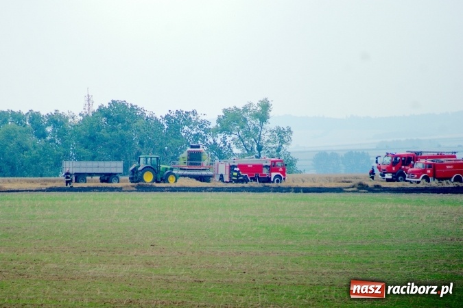 Zdjęcie w galerii na portalu naszraciborz.pl: Pożar zboża pomiędzy Raciborzem-Ocicami a Żerdzinami w gminie Pietrowice Wielkie wiadomości z regionu
