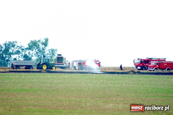 Zdjęcie w galerii na portalu naszraciborz.pl: Pożar zboża pomiędzy Raciborzem-Ocicami a Żerdzinami w gminie Pietrowice Wielkie wiadomości z regionu