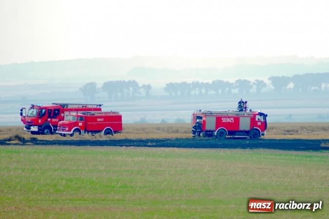 Zdjęcie w galerii na portalu naszraciborz.pl: Pożar zboża pomiędzy Raciborzem-Ocicami a Żerdzinami w gminie Pietrowice Wielkie wiadomości z regionu