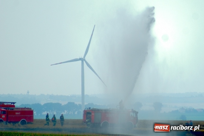 Zdjęcie w galerii na portalu naszraciborz.pl: Pożar zboża pomiędzy Raciborzem-Ocicami a Żerdzinami w gminie Pietrowice Wielkie wiadomości z regionu