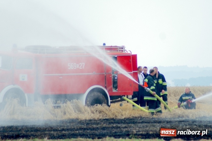 Zdjęcie w galerii na portalu naszraciborz.pl: Pożar zboża pomiędzy Raciborzem-Ocicami a Żerdzinami w gminie Pietrowice Wielkie wiadomości z regionu