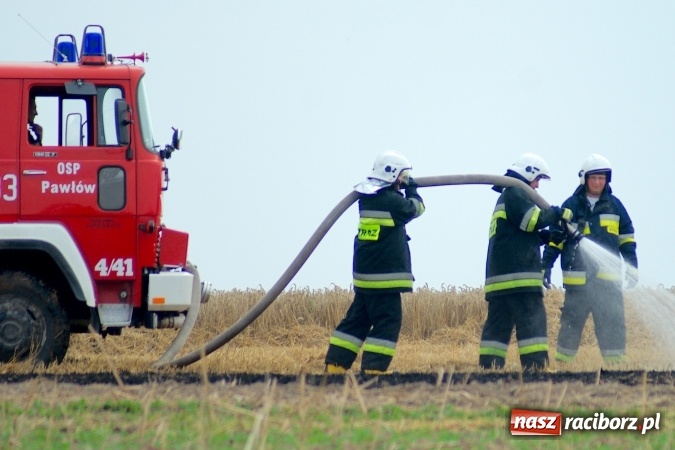 Zdjęcie w galerii na portalu naszraciborz.pl: Pożar zboża pomiędzy Raciborzem-Ocicami a Żerdzinami w gminie Pietrowice Wielkie wiadomości z regionu