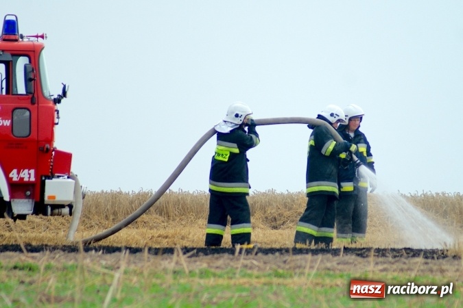 Zdjęcie w galerii na portalu naszraciborz.pl: Pożar zboża pomiędzy Raciborzem-Ocicami a Żerdzinami w gminie Pietrowice Wielkie wiadomości z regionu