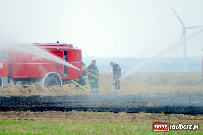 Zdjęcie w galerii na portalu naszraciborz.pl: Pożar zboża pomiędzy Raciborzem-Ocicami a Żerdzinami w gminie Pietrowice Wielkie wiadomości z regionu