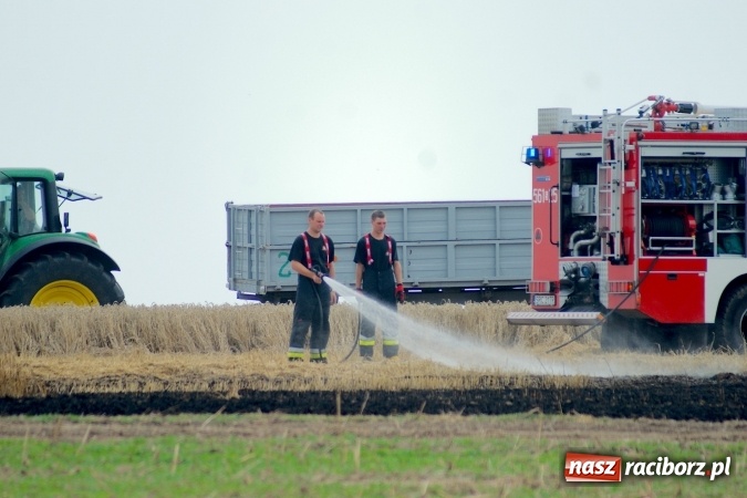 Zdjęcie w galerii na portalu naszraciborz.pl: Pożar zboża pomiędzy Raciborzem-Ocicami a Żerdzinami w gminie Pietrowice Wielkie wiadomości z regionu