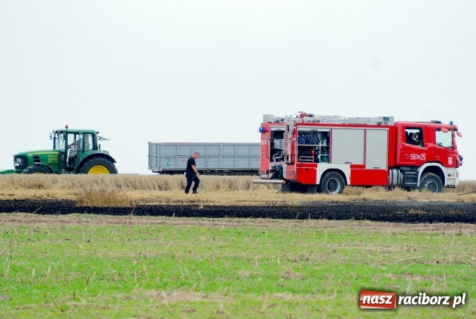 Zdjęcie w galerii na portalu naszraciborz.pl: Pożar zboża pomiędzy Raciborzem-Ocicami a Żerdzinami w gminie Pietrowice Wielkie wiadomości z regionu