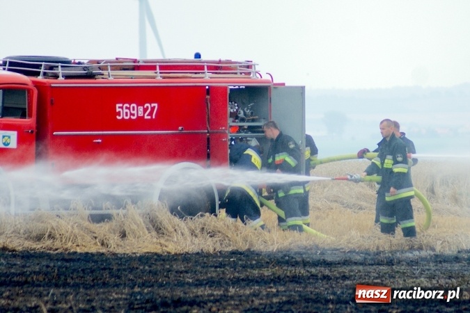 Zdjęcie w galerii na portalu naszraciborz.pl: Pożar zboża pomiędzy Raciborzem-Ocicami a Żerdzinami w gminie Pietrowice Wielkie wiadomości z regionu