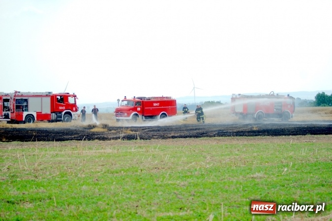 Zdjęcie w galerii na portalu naszraciborz.pl: Pożar zboża pomiędzy Raciborzem-Ocicami a Żerdzinami w gminie Pietrowice Wielkie wiadomości z regionu