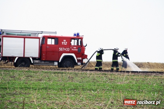 Zdjęcie w galerii na portalu naszraciborz.pl: Pożar zboża pomiędzy Raciborzem-Ocicami a Żerdzinami w gminie Pietrowice Wielkie wiadomości z regionu