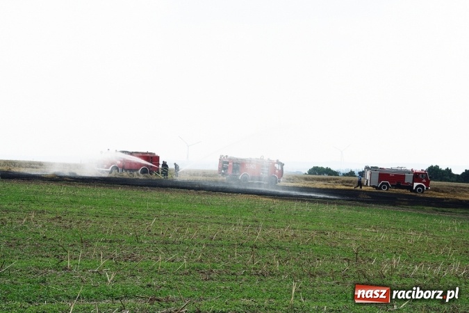 Zdjęcie w galerii na portalu naszraciborz.pl: Pożar zboża pomiędzy Raciborzem-Ocicami a Żerdzinami w gminie Pietrowice Wielkie wiadomości z regionu