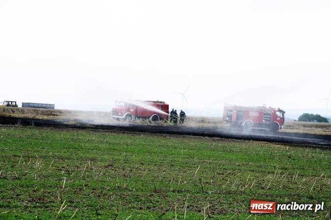 Zdjęcie w galerii na portalu naszraciborz.pl: Pożar zboża pomiędzy Raciborzem-Ocicami a Żerdzinami w gminie Pietrowice Wielkie wiadomości z regionu