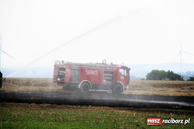 Zdjęcie w galerii na portalu naszraciborz.pl: Pożar zboża pomiędzy Raciborzem-Ocicami a Żerdzinami w gminie Pietrowice Wielkie wiadomości z regionu