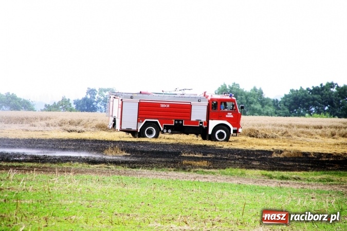 Zdjęcie w galerii na portalu naszraciborz.pl: Pożar zboża pomiędzy Raciborzem-Ocicami a Żerdzinami w gminie Pietrowice Wielkie wiadomości z regionu