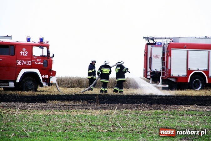 Zdjęcie w galerii na portalu naszraciborz.pl: Pożar zboża pomiędzy Raciborzem-Ocicami a Żerdzinami w gminie Pietrowice Wielkie wiadomości z regionu