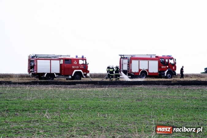 Zdjęcie w galerii na portalu naszraciborz.pl: Pożar zboża pomiędzy Raciborzem-Ocicami a Żerdzinami w gminie Pietrowice Wielkie wiadomości z regionu