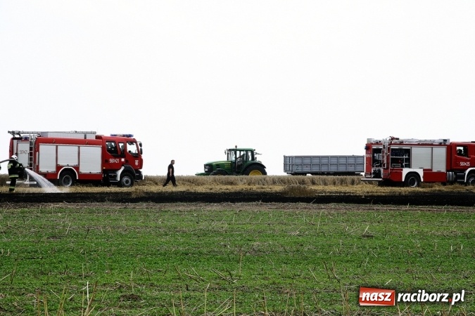 Zdjęcie w galerii na portalu naszraciborz.pl: Pożar zboża pomiędzy Raciborzem-Ocicami a Żerdzinami w gminie Pietrowice Wielkie wiadomości z regionu