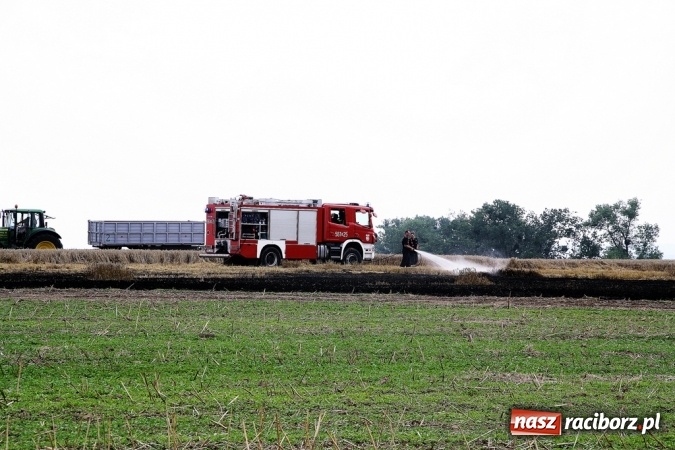 Zdjęcie w galerii na portalu naszraciborz.pl: Pożar zboża pomiędzy Raciborzem-Ocicami a Żerdzinami w gminie Pietrowice Wielkie wiadomości z regionu