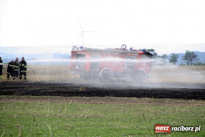 Zdjęcie w galerii na portalu naszraciborz.pl: Pożar zboża pomiędzy Raciborzem-Ocicami a Żerdzinami w gminie Pietrowice Wielkie wiadomości z regionu