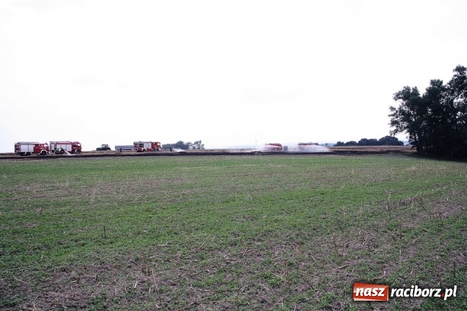 Zdjęcie w galerii na portalu naszraciborz.pl: Pożar zboża pomiędzy Raciborzem-Ocicami a Żerdzinami w gminie Pietrowice Wielkie wiadomości z regionu