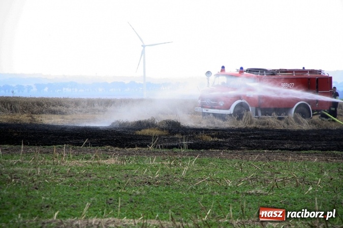 Zdjęcie w galerii na portalu naszraciborz.pl: Pożar zboża pomiędzy Raciborzem-Ocicami a Żerdzinami w gminie Pietrowice Wielkie wiadomości z regionu
