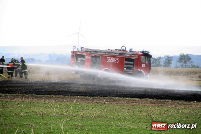 Zdjęcie w galerii na portalu naszraciborz.pl: Pożar zboża pomiędzy Raciborzem-Ocicami a Żerdzinami w gminie Pietrowice Wielkie wiadomości z regionu