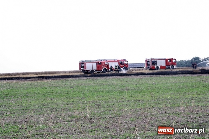 Zdjęcie w galerii na portalu naszraciborz.pl: Pożar zboża pomiędzy Raciborzem-Ocicami a Żerdzinami w gminie Pietrowice Wielkie wiadomości z regionu
