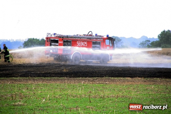 Zdjęcie w galerii na portalu naszraciborz.pl: Pożar zboża pomiędzy Raciborzem-Ocicami a Żerdzinami w gminie Pietrowice Wielkie wiadomości z regionu