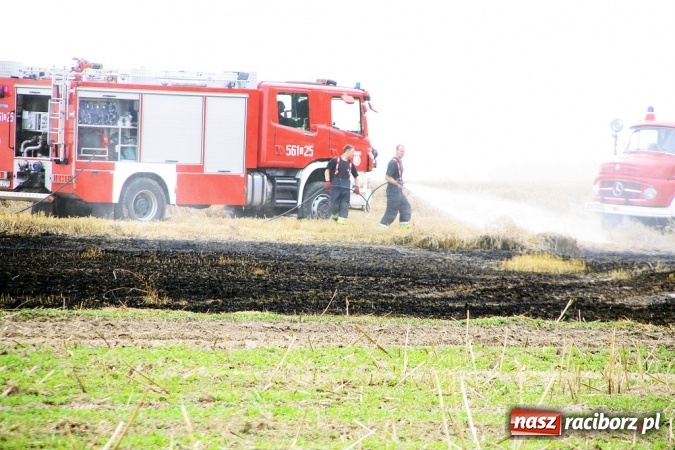 Zdjęcie w galerii na portalu naszraciborz.pl: Pożar zboża pomiędzy Raciborzem-Ocicami a Żerdzinami w gminie Pietrowice Wielkie wiadomości z regionu
