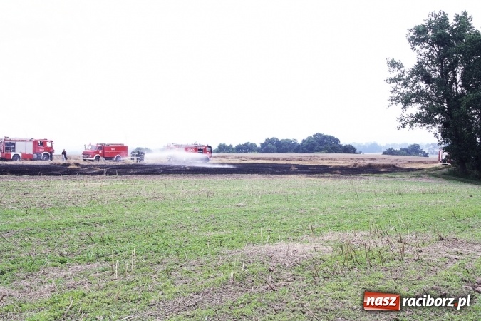 Zdjęcie w galerii na portalu naszraciborz.pl: Pożar zboża pomiędzy Raciborzem-Ocicami a Żerdzinami w gminie Pietrowice Wielkie wiadomości z regionu