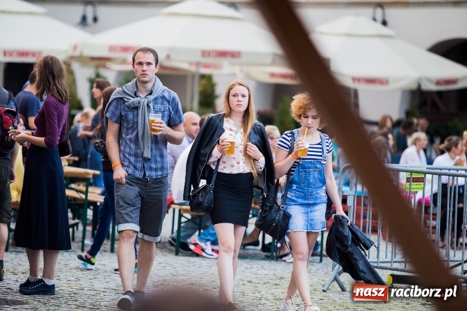 Zdjęcie w galerii na portalu naszraciborz.pl: INTRO - festiwal muzyki elektronicznej i światła na Zamku Piastowskim wiadomości z regionu