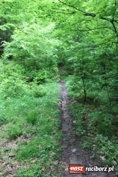 Zdjęcie w galerii na portalu naszraciborz.pl: Quady i motocykle, kt&oacute;re niszczą rezerwaty wiadomości z regionu