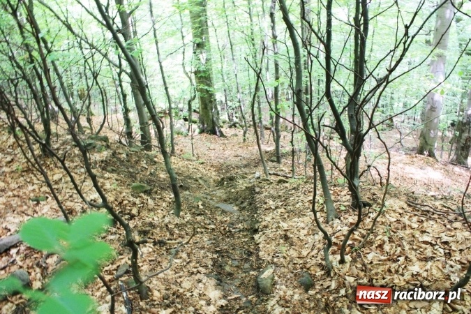 Zdjęcie w galerii na portalu naszraciborz.pl: Quady i motocykle, kt&oacute;re niszczą rezerwaty wiadomości z regionu