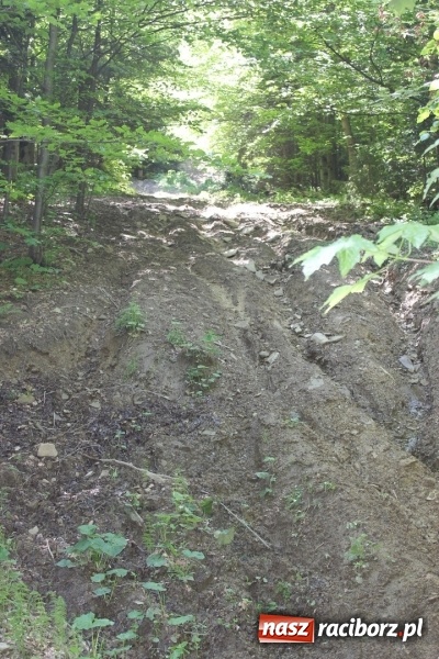 Zdjęcie w galerii na portalu naszraciborz.pl: Quady i motocykle, kt&oacute;re niszczą rezerwaty wiadomości z regionu