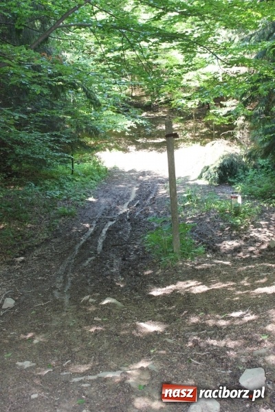 Zdjęcie w galerii na portalu naszraciborz.pl: Quady i motocykle, kt&oacute;re niszczą rezerwaty wiadomości z regionu