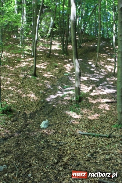 Zdjęcie w galerii na portalu naszraciborz.pl: Quady i motocykle, kt&oacute;re niszczą rezerwaty wiadomości z regionu