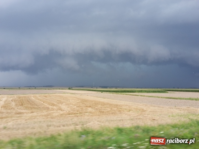 Zdjęcie w galerii na portalu naszraciborz.pl: Nawałnica znów nawiedziła nasz region. Było groźnie! wiadomości z regionu