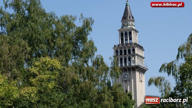 Zdjęcie w galerii na portalu naszraciborz.pl: Lato z Biblioteką - uczestnicy odwiedzili Studio Filmów Rysunkowych w Bielsku-Białej wiadomości z regionu
