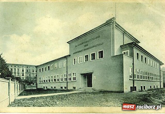 Zdjęcie w galerii na portalu naszraciborz.pl: Raciborski misz-masz z aukcji wiadomości z regionu