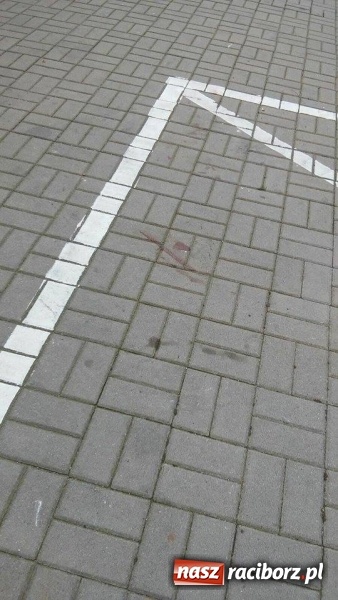 Zdjęcie w galerii na portalu naszraciborz.pl: Dostał kosą w brzuch! Nocą przy Mysłowickiej polała się krew! Policja ustala, co dokładnie się stało. Do szpitala zabrano dwóch rannych wiadomości z regionu