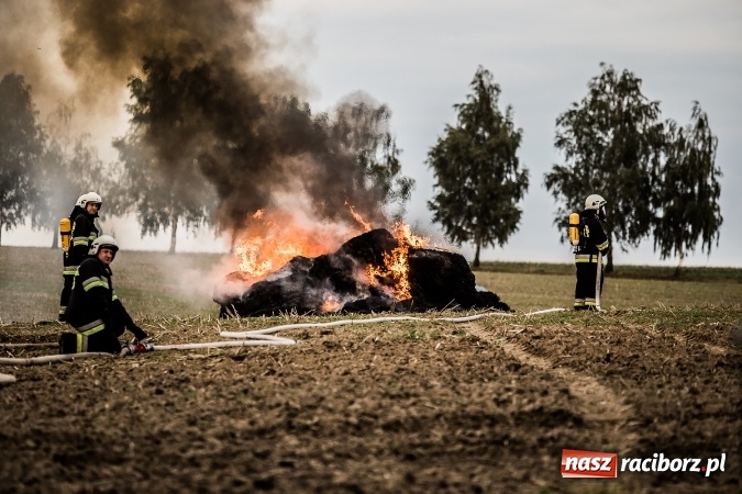 Zdjęcie w galerii na portalu naszraciborz.pl: Pokaz strażacki na rozpoczęcie obchod&oacute;w 90-lecia KS Pietraszyn wiadomości z regionu