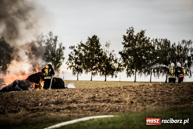 Zdjęcie w galerii na portalu naszraciborz.pl: Pokaz strażacki na rozpoczęcie obchod&oacute;w 90-lecia KS Pietraszyn wiadomości z regionu