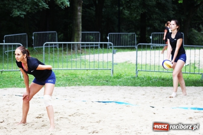 Zdjęcie w galerii na portalu naszraciborz.pl: Mistrzostwa Raciborza w plażówce kobiet  wiadomości z regionu
