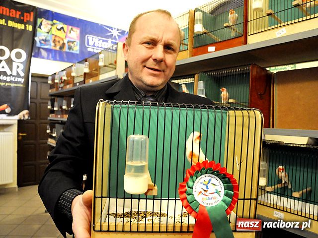 Zdjęcie w galerii na portalu naszraciborz.pl: Raciborska gala ptasich piękności wiadomości z regionu