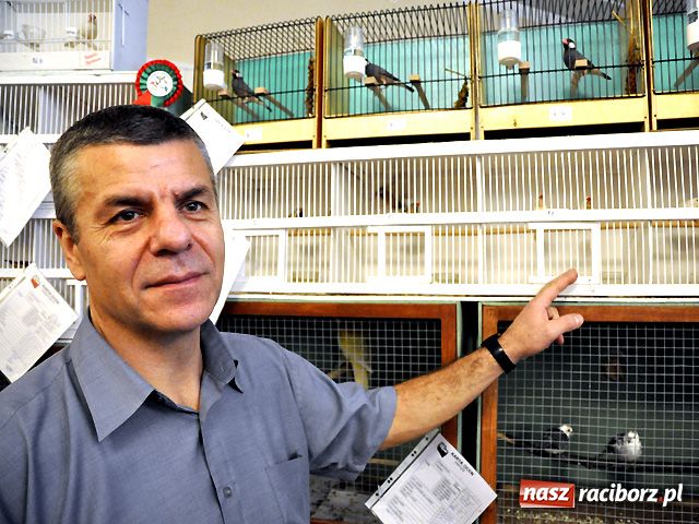 Zdjęcie w galerii na portalu naszraciborz.pl: Raciborska gala ptasich piękności wiadomości z regionu