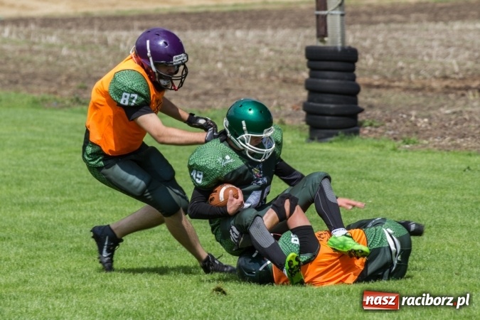 Zdjęcie w galerii na portalu naszraciborz.pl: RAPTORSI w dobrej formie przed turniejem PLFA 8. Dziś dali pokaz w Pietraszynie wiadomości z regionu