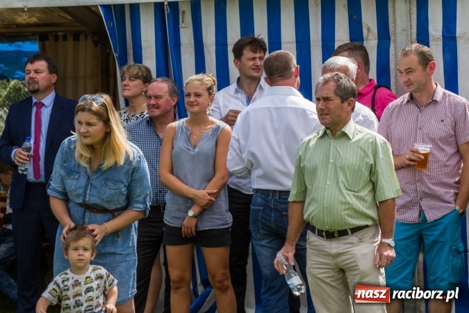Zdjęcie w galerii na portalu naszraciborz.pl: RAPTORSI w dobrej formie przed turniejem PLFA 8. Dziś dali pokaz w Pietraszynie wiadomości z regionu