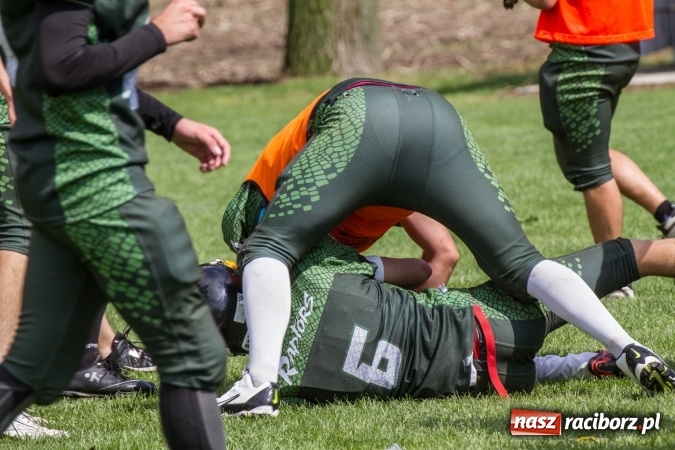 Zdjęcie w galerii na portalu naszraciborz.pl: RAPTORSI w dobrej formie przed turniejem PLFA 8. Dziś dali pokaz w Pietraszynie wiadomości z regionu